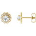 Ladies Natural Diamond Halo-Style Earrings — 14K Yellow Gold