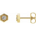 Ladies Natural Diamond Hexagon Stud Earrings (I1, G-H) — 14K Yellow Gold