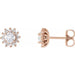Ladies Natural Diamond Halo-Style Earrings — 14K Rose Gold