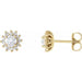 Ladies Natural Diamond Halo-Style Earrings — 14K Yellow Gold
