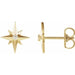 Ladies Natural Diamond Star Earrings (I1, G-H) — 14K Yellow Gold