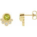 Ladies Natural Peridot Natural Diamond Earrings — 14K Yellow Gold