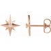 Ladies Natural Diamond Star Earrings (I1, G-H) — 14K Rose Gold