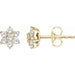 Ladies Natural Diamond Flower Earrings — 14K Yellow Gold