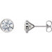 Ladies Natural Diamond Cocktail-Style Earrings (Si2-Si3, G-H) — Platinum