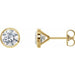 Ladies Natural Diamond Cocktail-Style Earrings (Si2-Si3, G-H) — 14K Yellow Gold