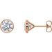 Ladies Natural Diamond Cocktail-Style Earrings (Si2-Si3, G-H) — 14K Rose Gold