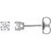 Ladies Natural Diamond Earrings (Si2-Si3, G-H) — Platinum