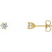 Ladies Natural Diamond Stud Earrings (Si2-Si3, G-H) — 14K Yellow Gold