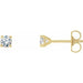 Ladies Natural Diamond Cocktail-Style Earrings (I3, G-H) — 14K Yellow Gold