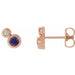 Ladies 5 mm Natural Amethyst Natural Diamond Earrings — 14K Rose Gold