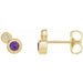 Ladies 5 mm Natural Amethyst Natural Diamond Earrings — 14K Yellow Gold