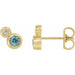Ladies 5 mm Natural Blue Zircon Natural Diamond Earrings — 14K Yellow Gold