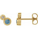 Ladies 5 mm Natural Aquamarine Natural Diamond Earrings — 14K Yellow Gold