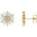 Ladies Natural Diamond Earrings — 14K Yellow Gold