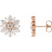 Ladies Natural Diamond Earrings — 14K Rose Gold