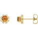 Ladies Natural Citrine Natural Diamond Earrings — 14K Yellow Gold