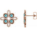 Ladies Natural Blue Zircon Natural Diamond Earrings — 14K Rose Gold
