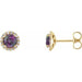 Ladies 3.5 mm Natural Alexandrite Natural Diamond Earrings — 14K Yellow Gold