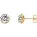 Ladies Natural Diamond Earrings — 14K Yellow Gold