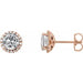Ladies Natural Diamond Earrings — 14K Rose Gold