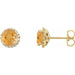 Ladies 3 mm Natural Citrine Natural Diamond Earrings — 14K Yellow Gold