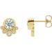 Ladies Natural Diamond Earrings — 14K Yellow Gold