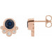 Ladies Natural Blue Sapphire Natural Diamond Earrings — 14K Rose Gold