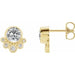 Ladies Natural White Sapphire Natural Diamond Earrings — 14K Yellow Gold