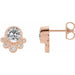 Ladies Natural White Sapphire Natural Diamond Earrings — 14K Rose Gold