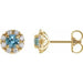 Ladies 4 mm Natural Blue Zircon Natural Diamond Halo-Style Earrings — 14K Yellow Gold
