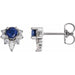 Ladies Natural Blue Sapphire Natural Diamond Earrings — Sterling Silver