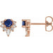 Ladies Natural Blue Sapphire Natural Diamond Earrings — 14K Rose Gold