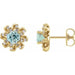 Ladies Natural Aquamarine Natural Diamond Halo-Style Earrings — 14K Yellow Gold