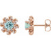 Ladies Natural Aquamarine Natural Diamond Halo-Style Earrings — 14K Rose Gold