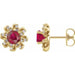 Ladies Natural Ruby Natural Diamond Halo-Style Earrings — 14K Yellow Gold