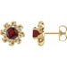 Ladies Natural Mozambique Garnet Natural Diamond Halo-Style Earrings — 14K Yellow Gold