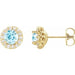 Ladies 4 mm Natural Aquamarine Natural Diamond Earrings — 14K Yellow Gold