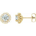 Ladies Natural White Sapphire Natural Diamond Earrings — 14K Yellow Gold