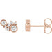 Ladies Natural Diamond Scattered Bezel-Set Earrings — 14K Rose Gold