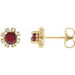 Ladies Natural Mozambique Garnet Natural Diamond Earrings — 14K Yellow Gold