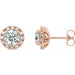 Ladies Natural Diamond Halo-Style Earrings — 14K Rose Gold