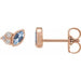 Ladies Natural Aquamarine Natural Diamond Earrings — 14K Rose Gold