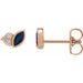 Ladies Natural Blue Sapphire Natural Diamond Earrings — 14K Rose Gold