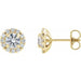 Ladies Natural Diamond Halo-Style Earrings — 14K Yellow Gold