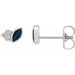 Ladies Natural Blue Sapphire Natural Diamond Earrings — Sterling Silver