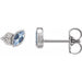Ladies Natural Aquamarine Natural Diamond Earrings — Sterling Silver