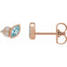 Ladies Natural Blue Zircon Natural Diamond Earrings — 14K Rose Gold