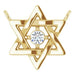 Ladies Natural Diamond Star of David Necklace Center (I1, G-H) — 14K Yellow Gold