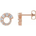 Ladies Natural Diamond Graduated Circle Earrings — 14K Rose Gold